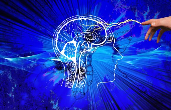 La fuerza de las conexiones del cerebro