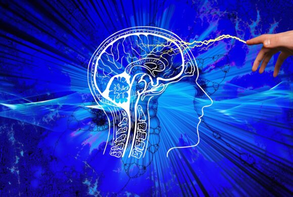 La fuerza de las conexiones del cerebro